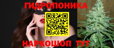 стаф Анапа