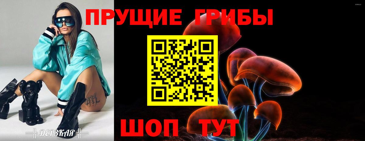 Балашов  Псилоцибиновые грибы мицелий  Вход с VPN 