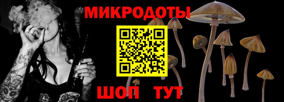 Псилоцибиновые грибы ЛСД Балашов